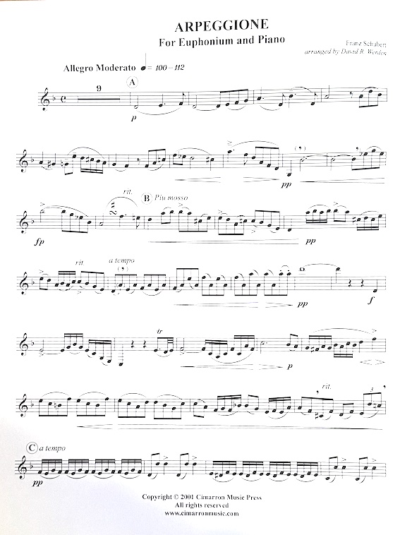 One Piece Film Z Intro Sheet music for Flute (Solo)